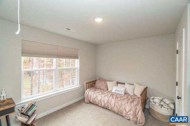 bedroom with carpet flooring