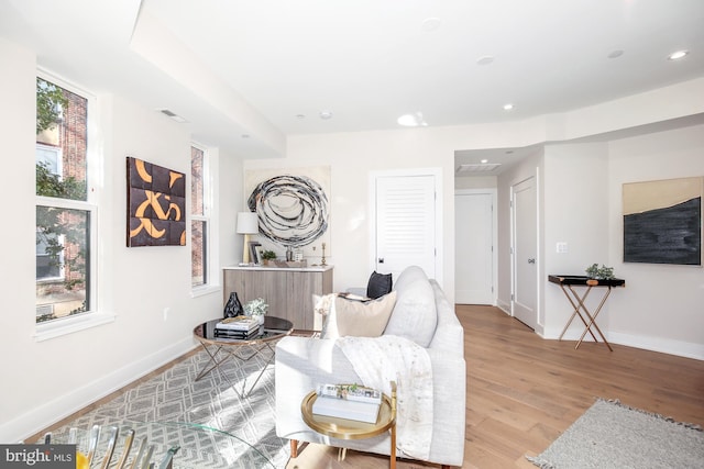 living room with a healthy amount of sunlight and light hardwood / wood-style flooring