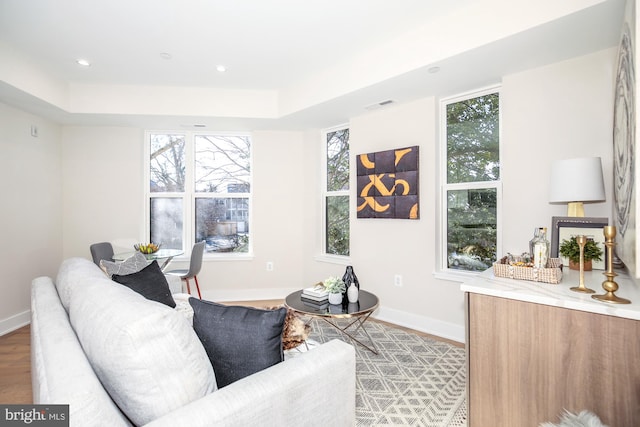 living room with a wealth of natural light, a raised ceiling, and light hardwood / wood-style floors