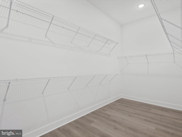 walk in closet with hardwood / wood-style floors