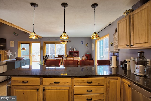 kitchen with stainless steel dishwasher, a wealth of natural light, decorative light fixtures, and vaulted ceiling