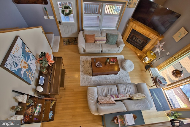 living room with light wood-type flooring