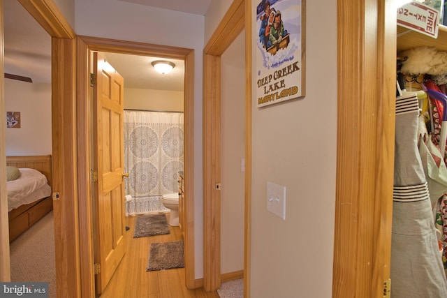 corridor featuring light wood-type flooring