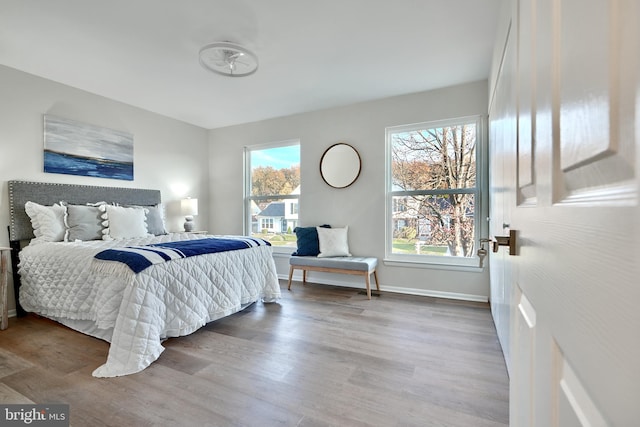 bedroom featuring multiple windows and wood-type flooring