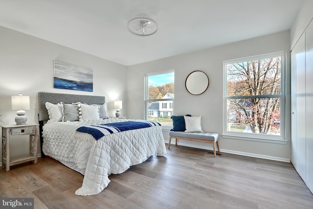 bedroom with light hardwood / wood-style flooring and multiple windows