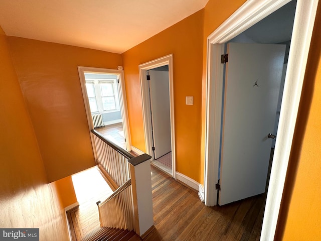 hall featuring dark hardwood / wood-style flooring and radiator heating unit