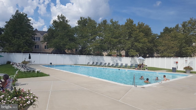 view of pool featuring a patio area