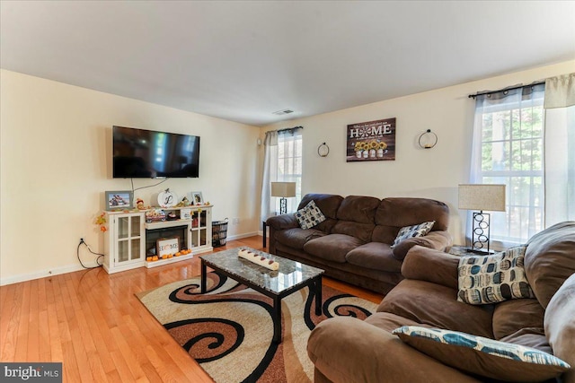 living room with wood-type flooring and a healthy amount of sunlight