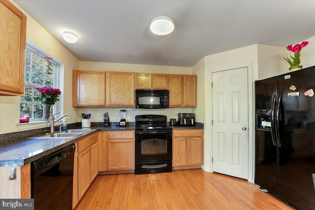 kitchen featuring black appliances, sink, and light hardwood / wood-style flooring