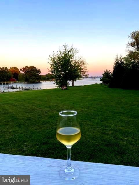 yard at dusk with a water view