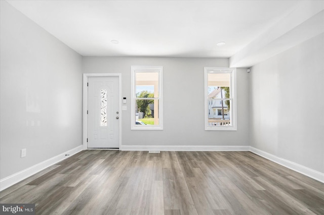 entryway with hardwood / wood-style floors