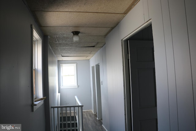 corridor featuring wood walls and wood-type flooring