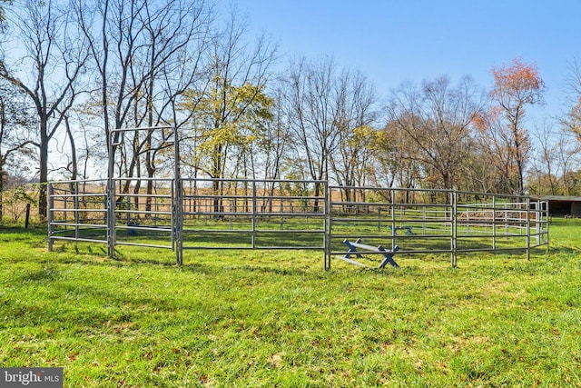 view of yard with a rural view