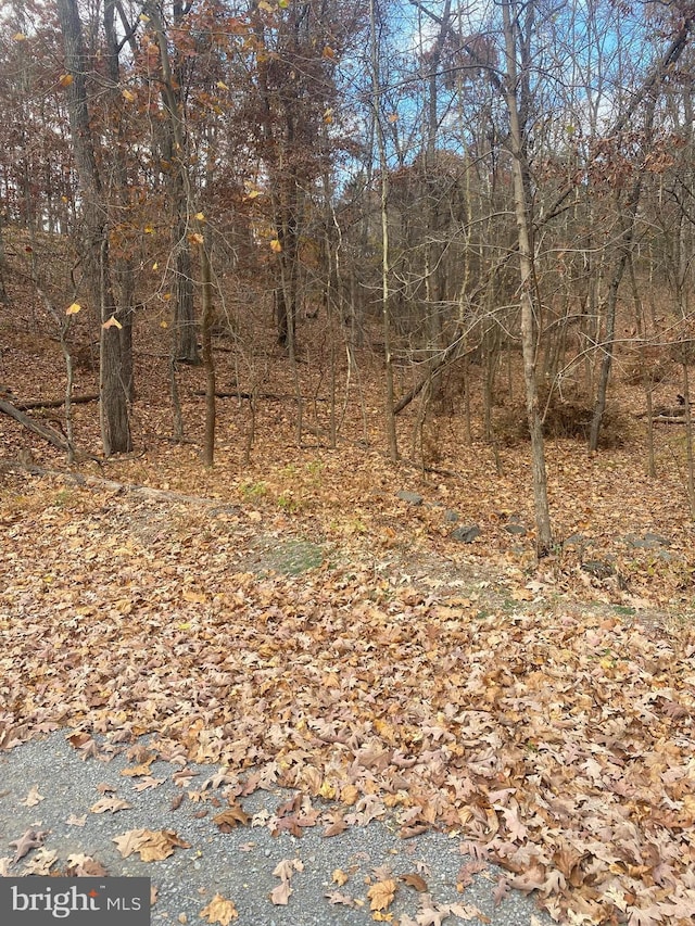 1116 Lakeview Dr, Cross Junction, VA 22625