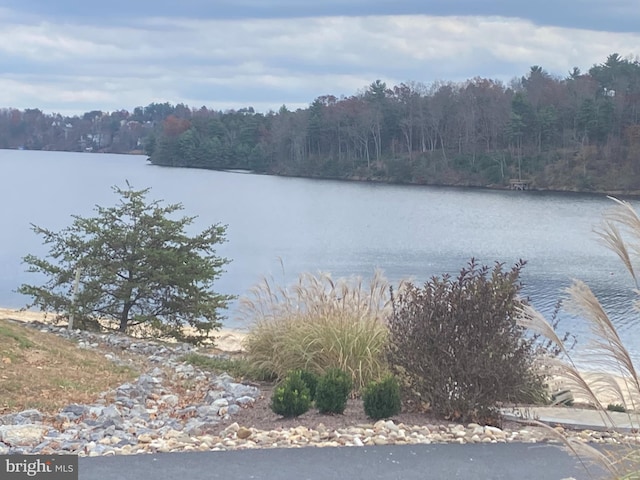 1116 Lakeview Dr, Cross Junction, VA 22625