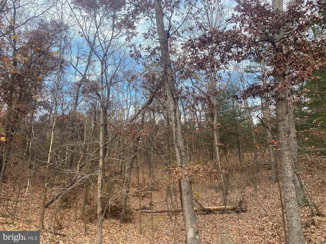1116 Lakeview Dr, Cross Junction, VA 22625