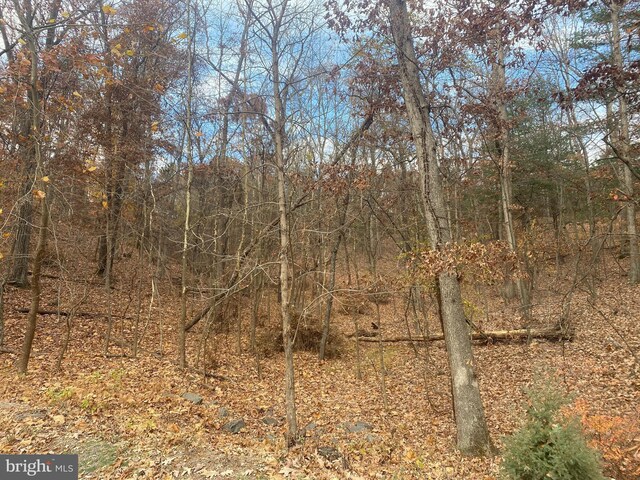 1116 Lakeview Dr, Cross Junction, VA 22625
