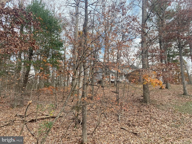 1116 Lakeview Dr, Cross Junction, VA 22625