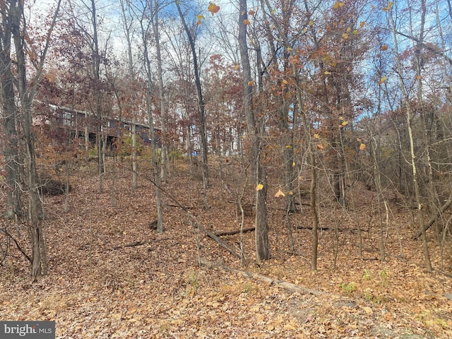 1116 Lakeview Dr, Cross Junction, VA 22625