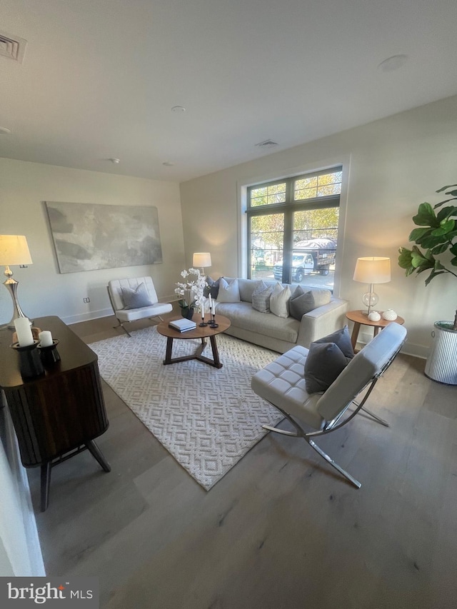 living room featuring hardwood / wood-style floors