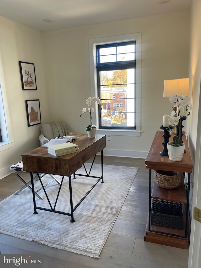 office space featuring hardwood / wood-style floors