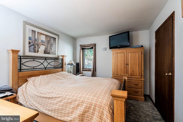 bedroom with carpet flooring