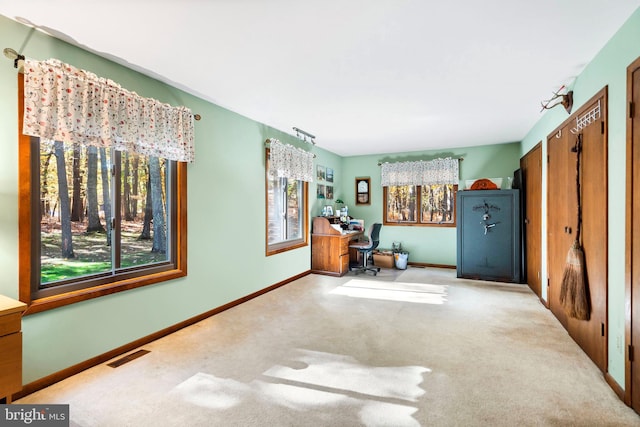 interior space featuring carpet flooring