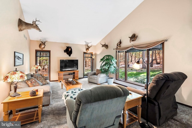 carpeted living room with high vaulted ceiling