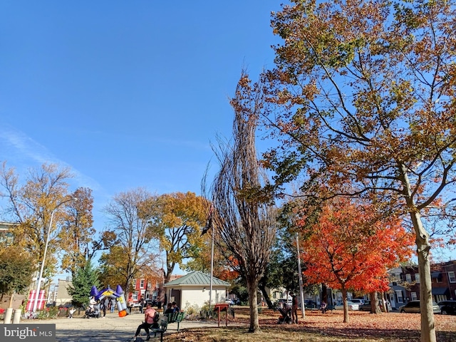 view of road