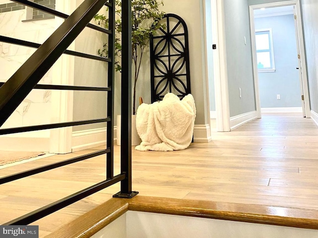 staircase featuring hardwood / wood-style flooring