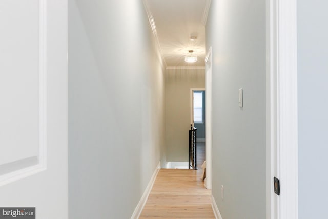 hallway with light hardwood / wood-style floors and ornamental molding