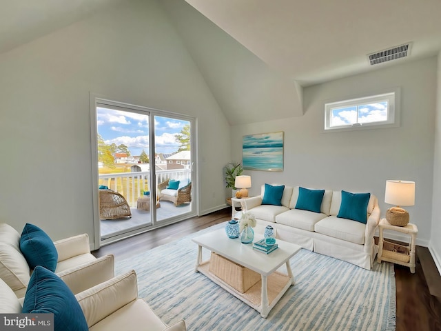 living room featuring wood-type flooring, high vaulted ceiling, and a wealth of natural light