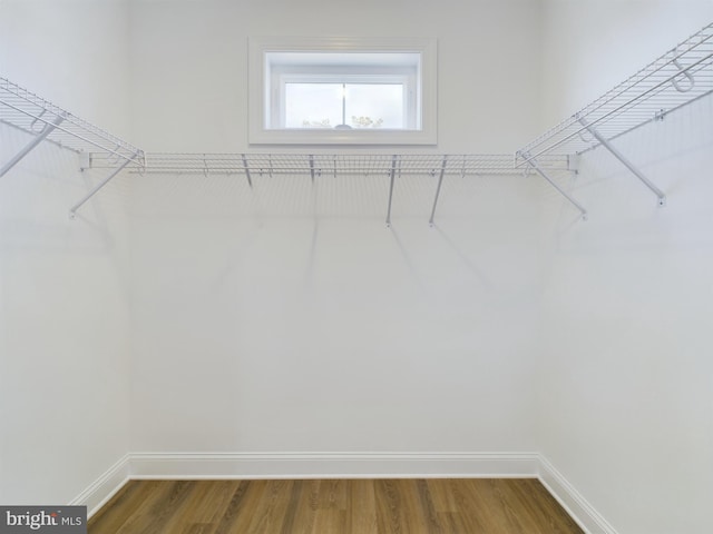 spacious closet featuring hardwood / wood-style flooring