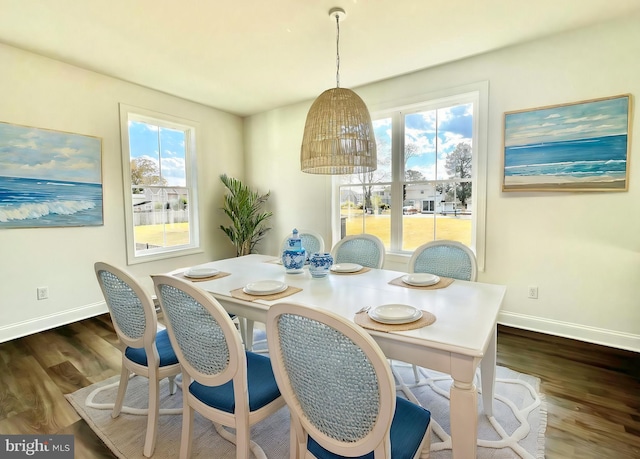 dining room with dark hardwood / wood-style flooring and a healthy amount of sunlight