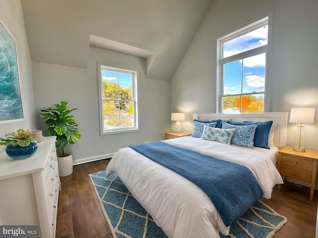 bedroom with lofted ceiling and dark hardwood / wood-style floors