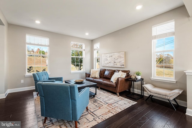 living room featuring dark hardwood / wood-style flooring