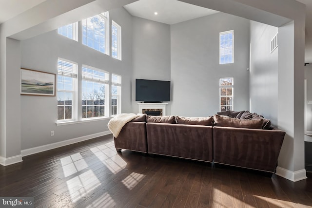 living room featuring dark hardwood / wood-style flooring, a high ceiling, and a healthy amount of sunlight