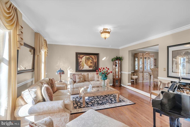 living room with wood-type flooring and crown molding