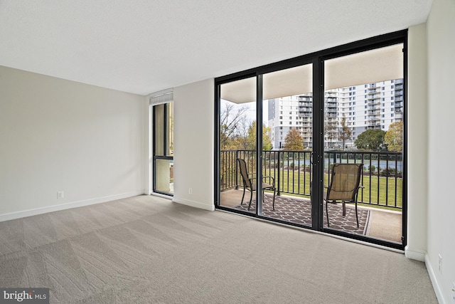 carpeted empty room with a textured ceiling and a wall of windows