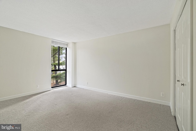 unfurnished room with carpet and a textured ceiling