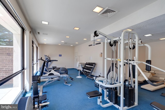 exercise room with a healthy amount of sunlight