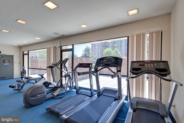 exercise room with carpet floors and a healthy amount of sunlight