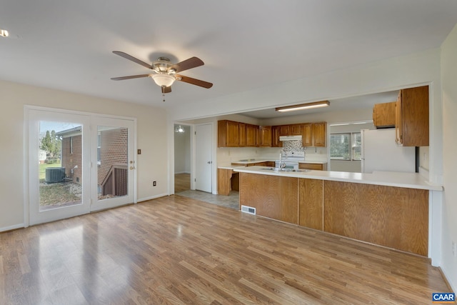 kitchen featuring sink, kitchen peninsula, ceiling fan, light hardwood / wood-style flooring, and white fridge