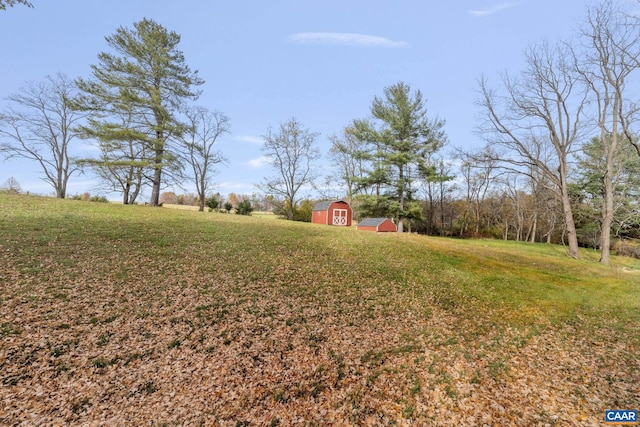 view of yard with a storage unit