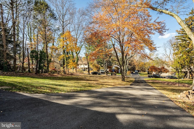 view of road