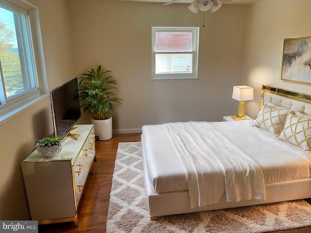 bedroom featuring dark wood-type flooring, multiple windows, and ceiling fan