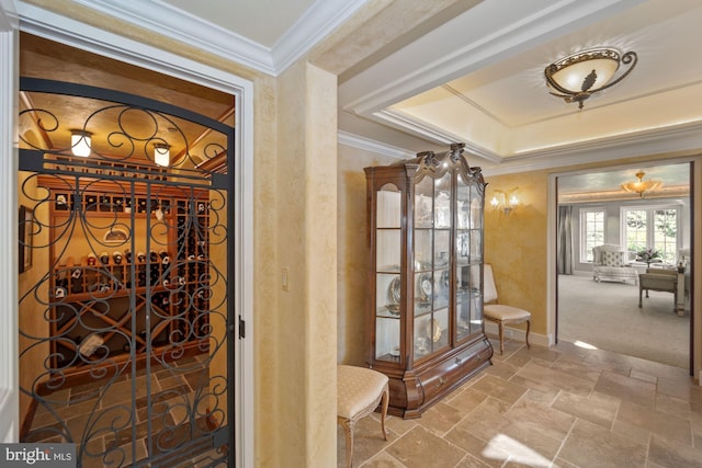 wine area with carpet and ornamental molding