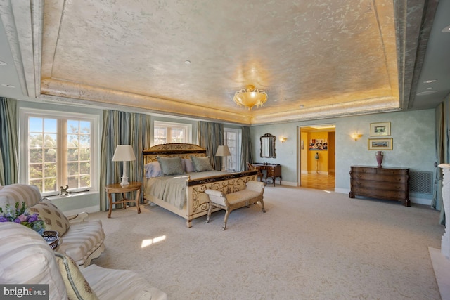 bedroom featuring carpet and a tray ceiling