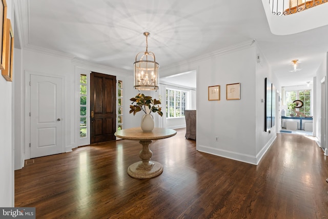 foyer with crown molding, dark hardwood / wood-style flooring, and a notable chandelier