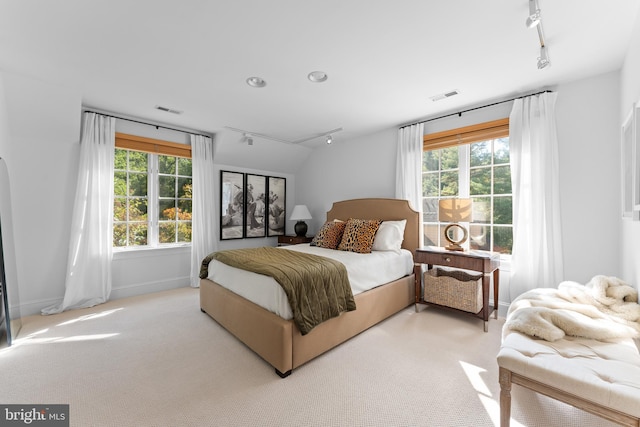 carpeted bedroom with multiple windows and track lighting